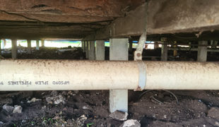 Underside view of a raised building. White PVC pipe supported by a metal strap and concrete post.