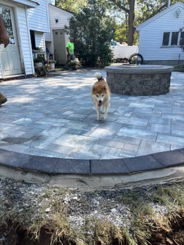 Dog running on a newly paved patio. A person is in the background. A fire pit and houses surround the patio.
