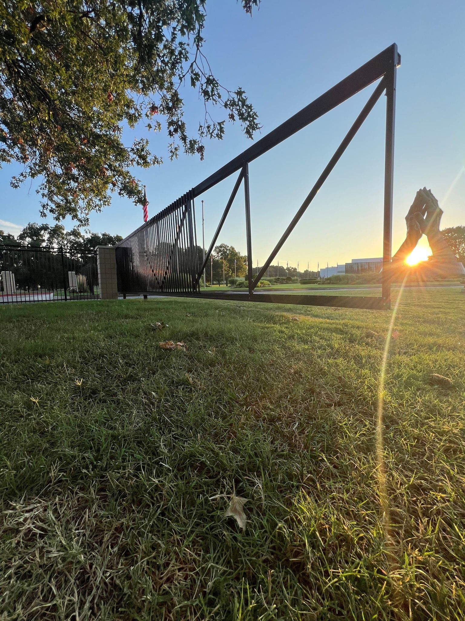 The sun is shining through the trees on a sunny day in a park.