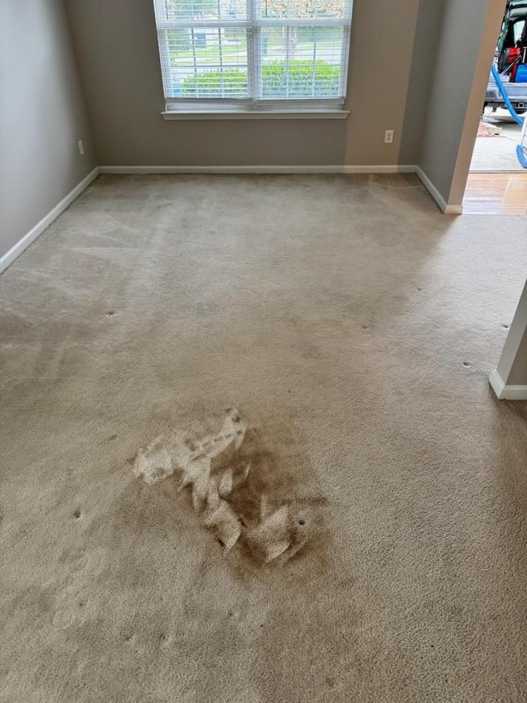 A living room with a dirty carpet and a window.