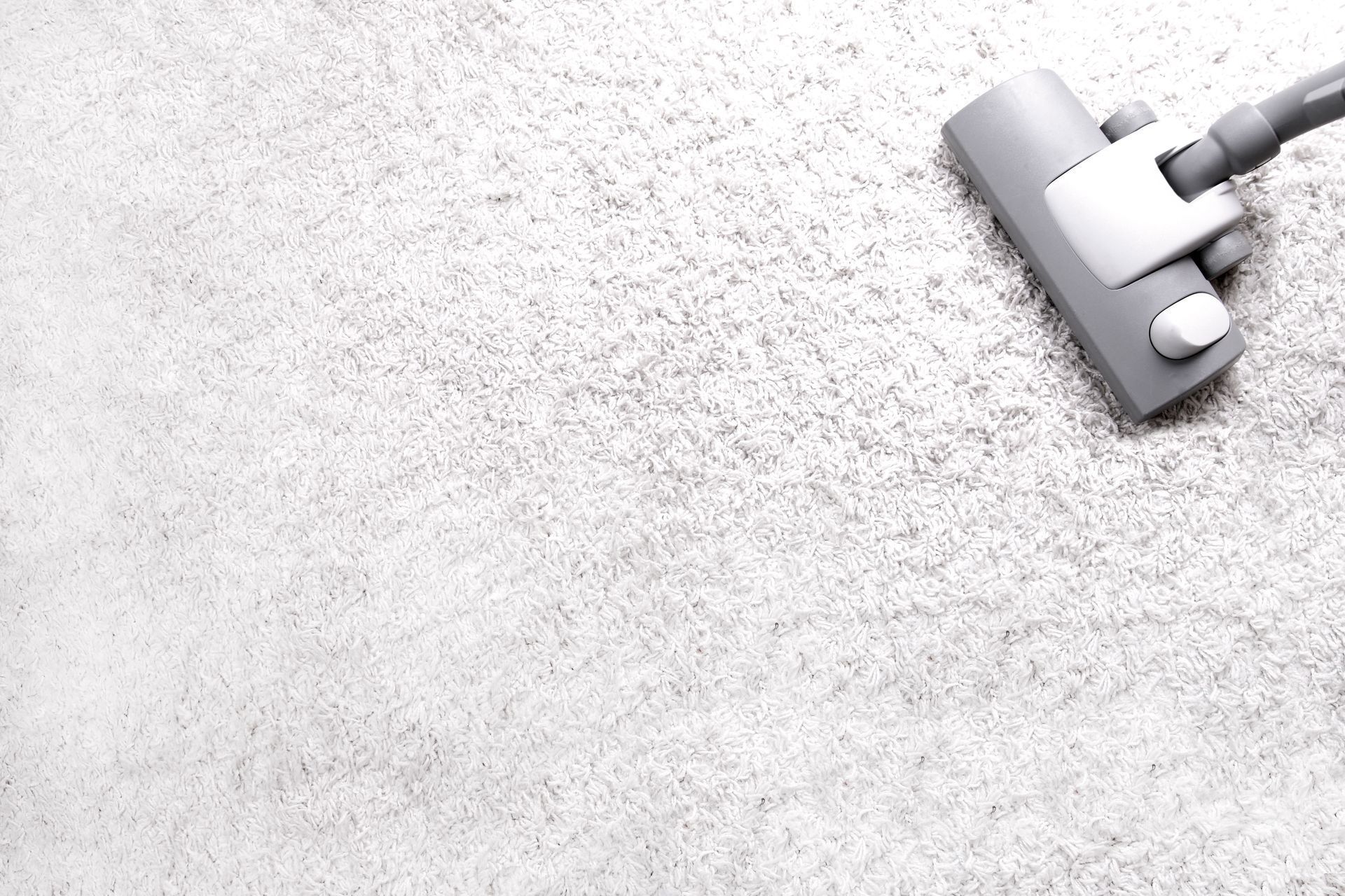A vacuum cleaner is sitting on top of a white carpet.