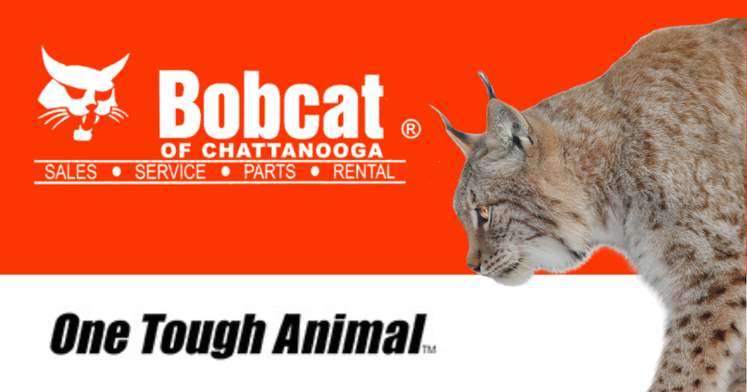 Bobcat of chattanooga is a one tough animal