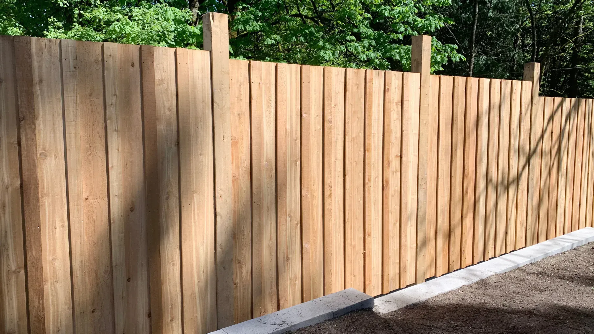 Wooden fence in a sunny outdoor setting, with green trees in the background.