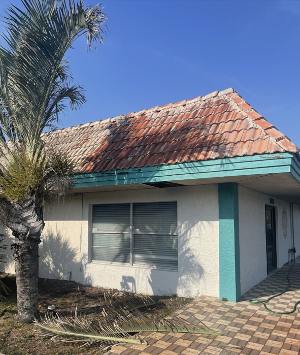 A house with a palm tree in front of it
