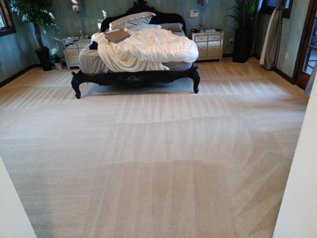 Bedroom with a black ornate bed, light carpet with cleaning patterns.