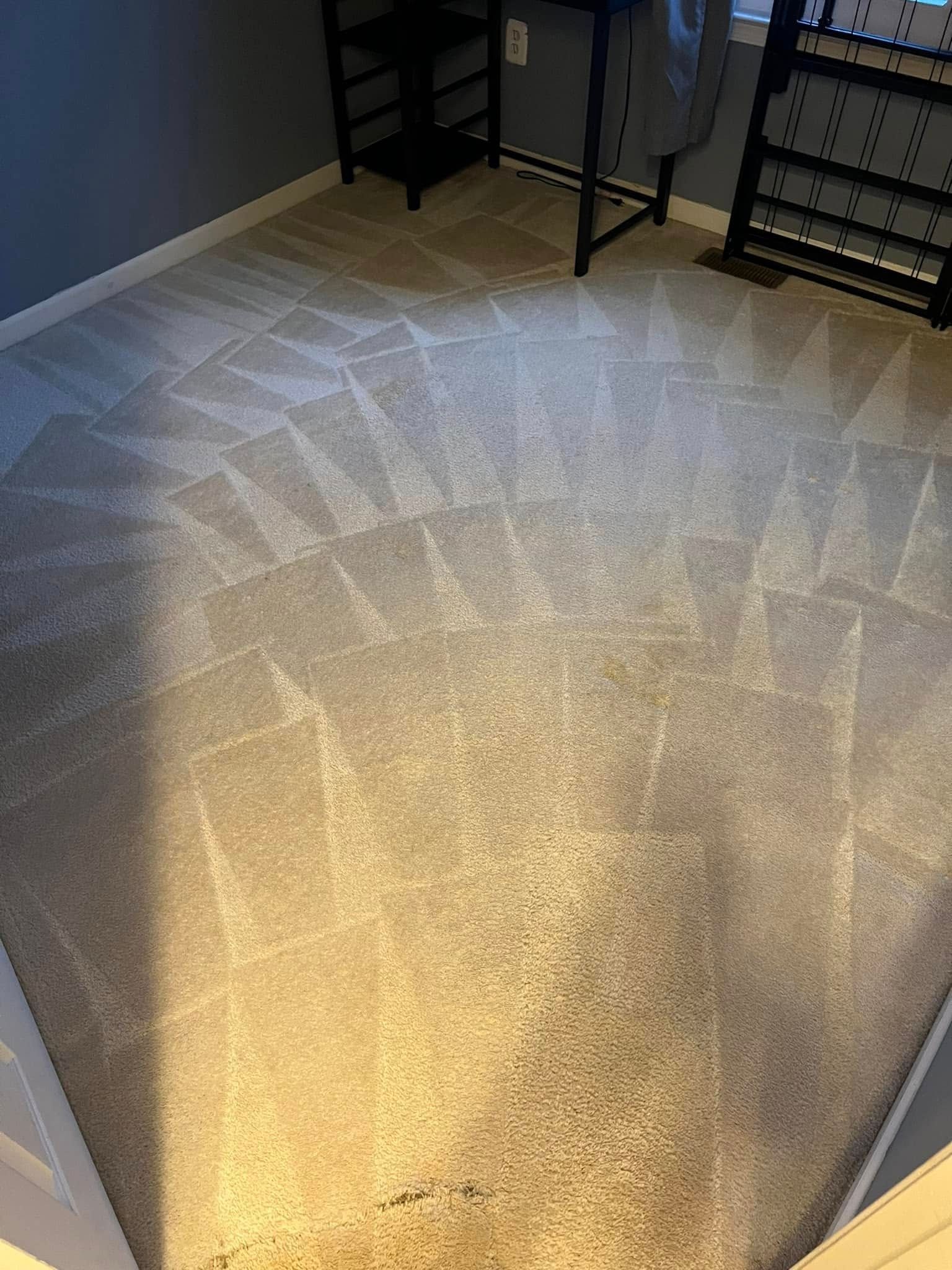 Tan carpet with vacuum cleaner track marks in a room with black furniture and gray walls.