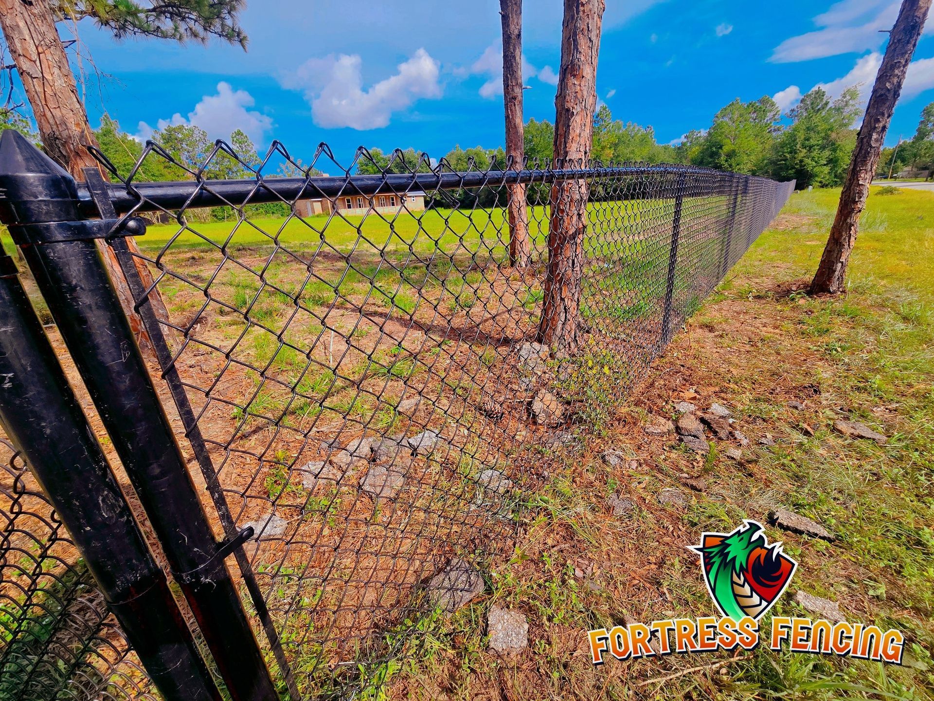 Black chain-link fence with trees in a grassy yard.