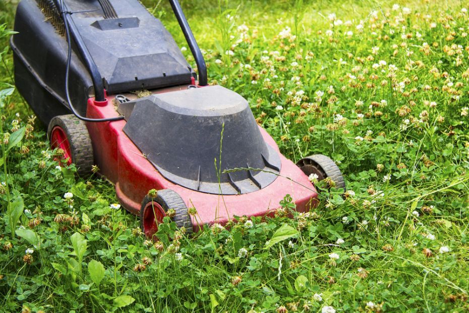Red Electric Lawn Mower