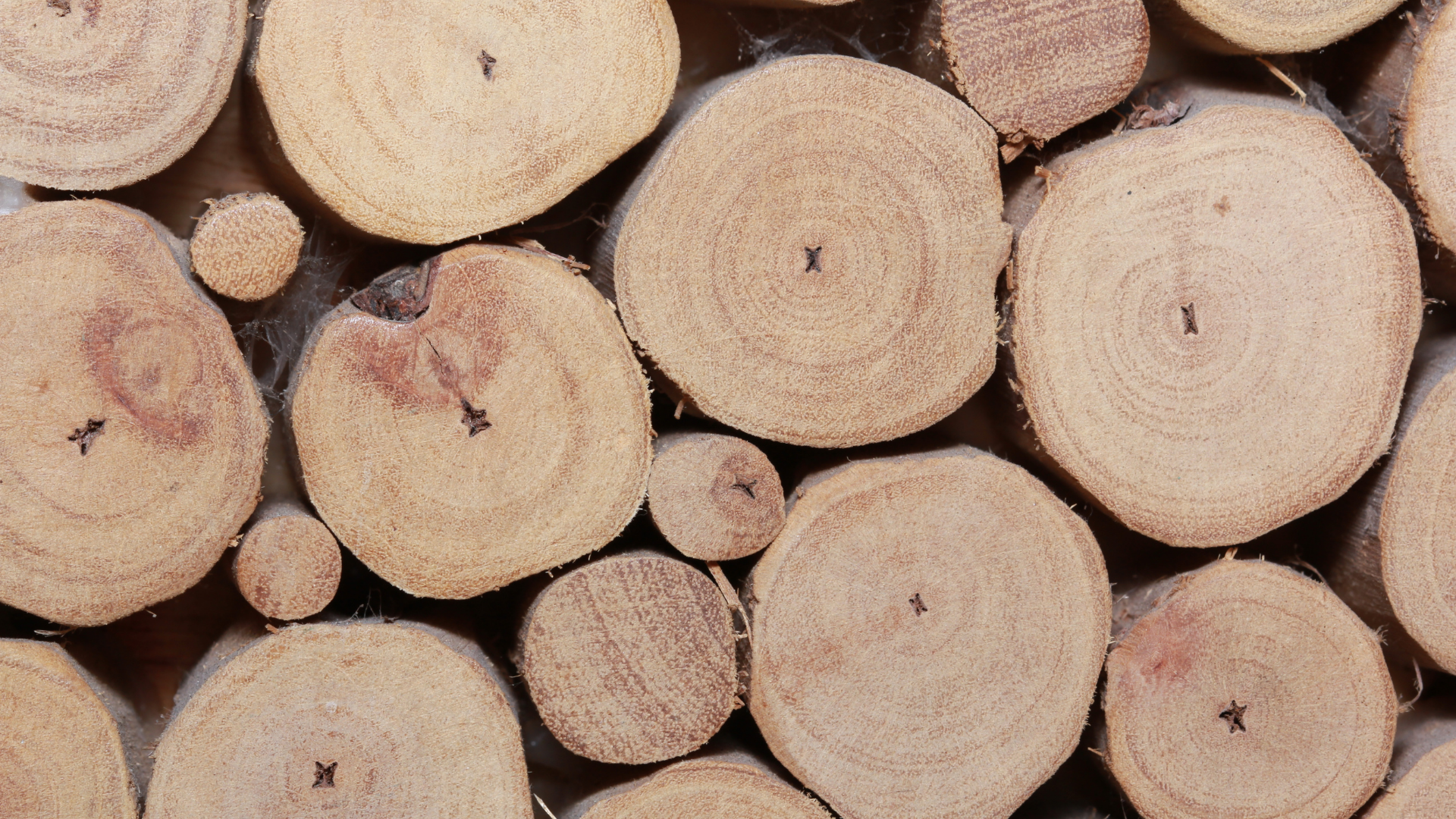 A pile of logs stacked on top of each other