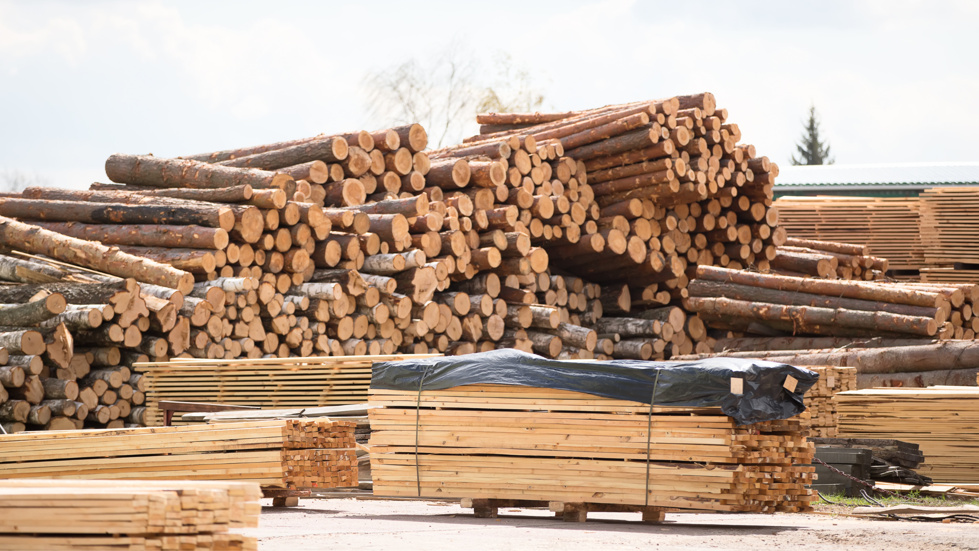 A pile of logs stacked on top of each other in a yard.