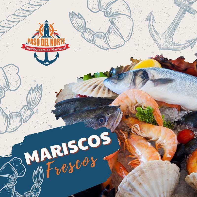 Selección premium de mariscos con frescura garantizada