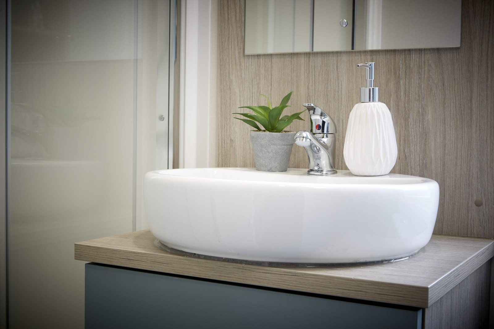 A bathroom sink with a plant and soap dispenser on it.