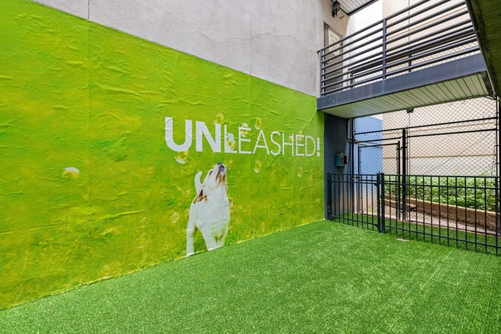 A wall with a picture of a dog on it and the words `` unleashed '' written on it at Marq on Ponce.