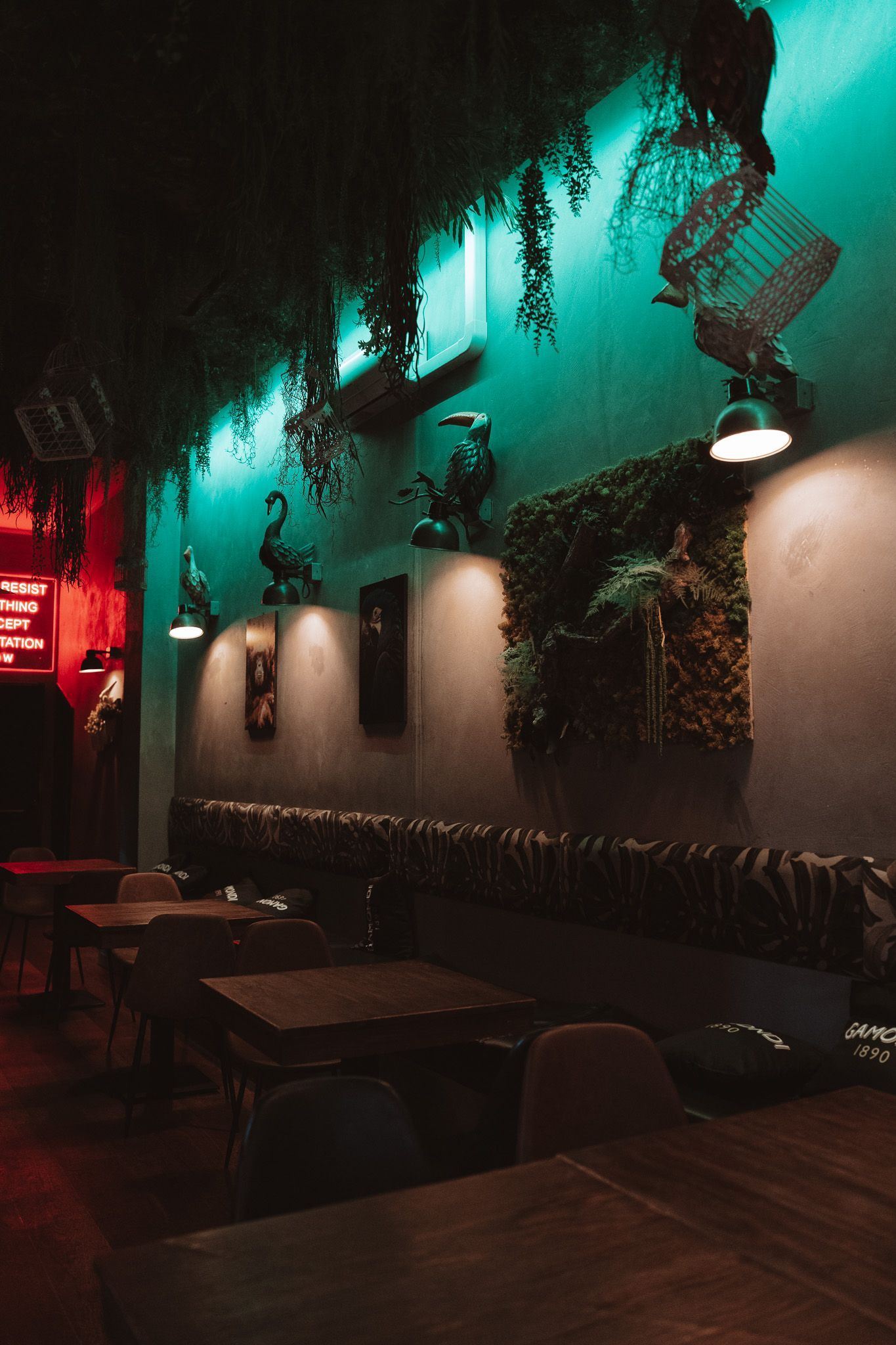 Interno di un bar scarsamente illuminato con luci al neon e decorazioni vegetali. Tavoli e sedie vuoti.