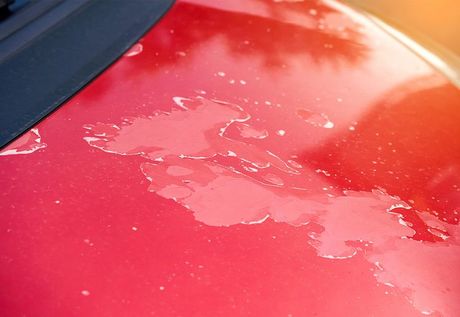 A close up of the hood of a red car