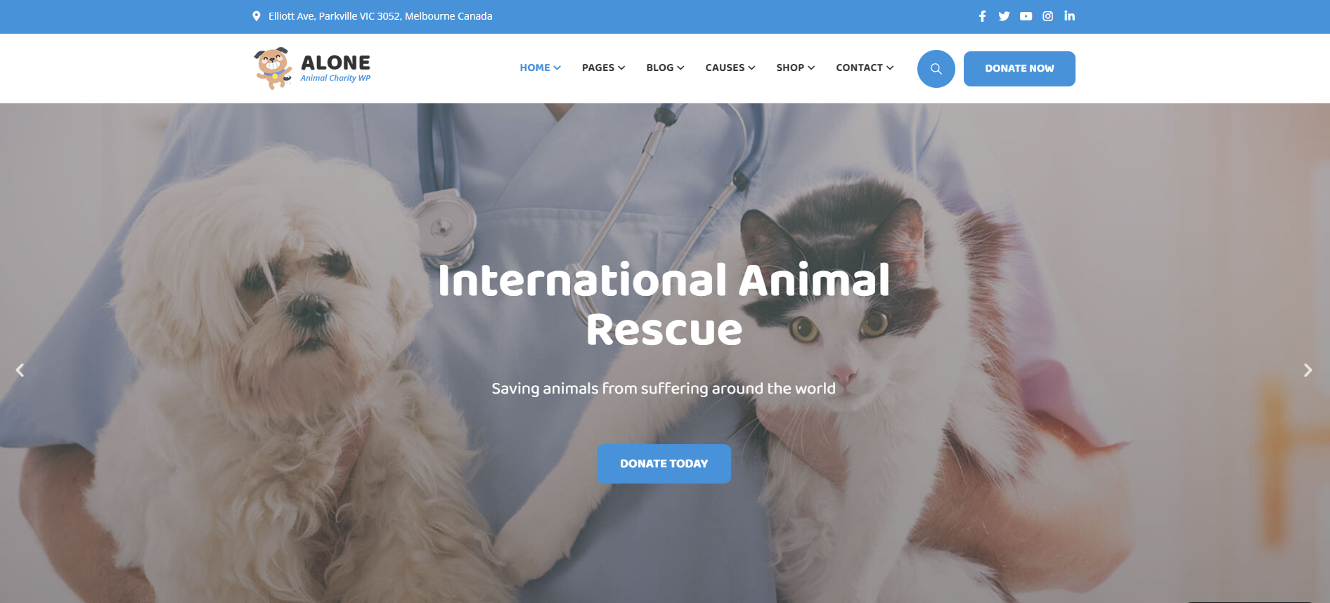 A screenshot of a website for an international animal rescue.