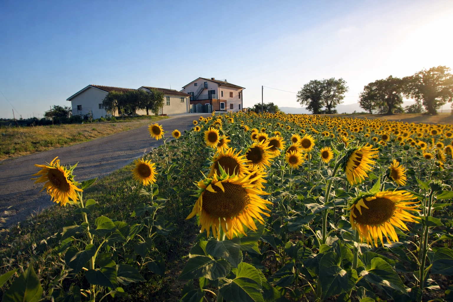 Spazi comuni eleganti dell'agriturismo con atmosfera calda.