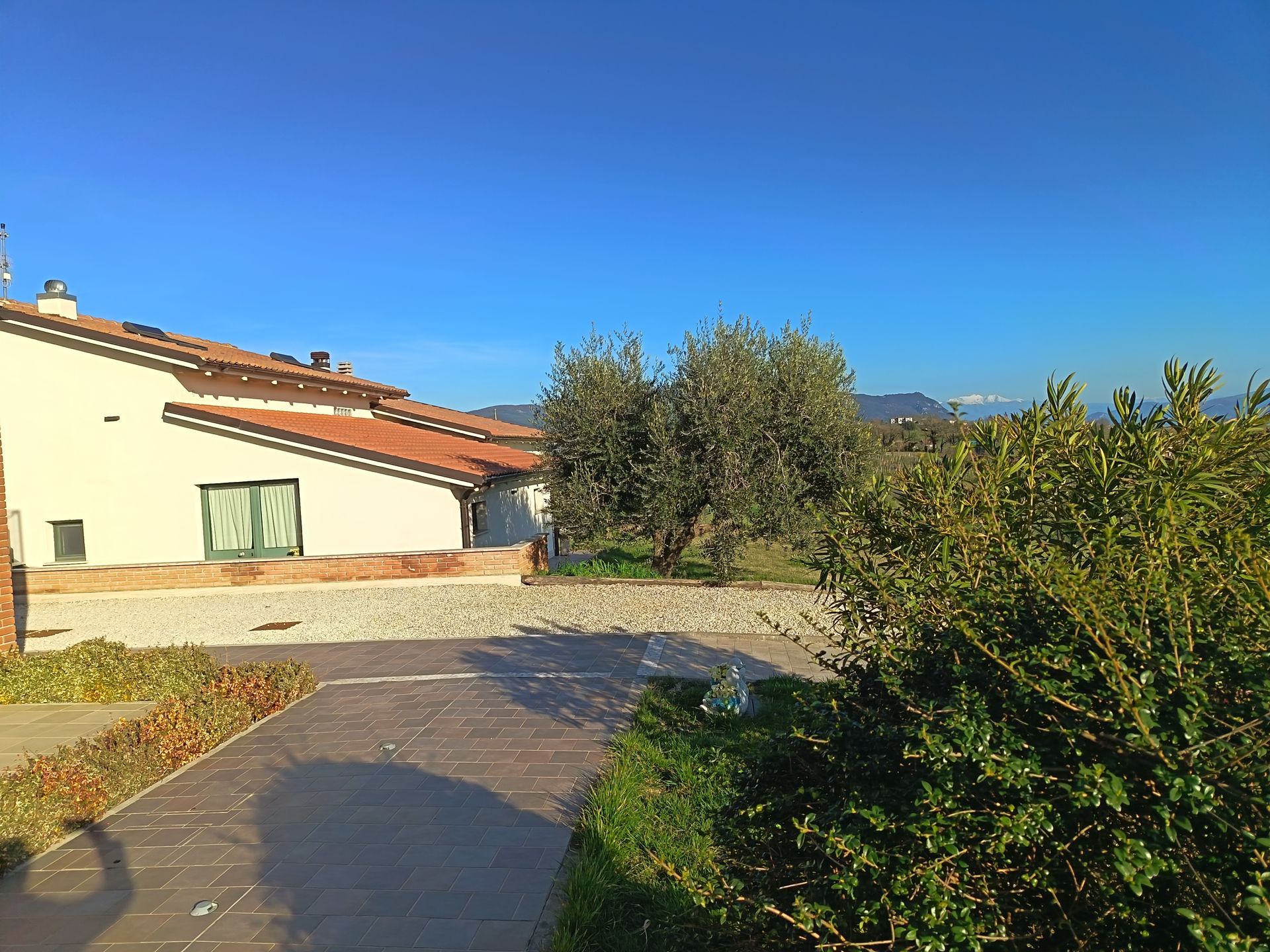 Una villa soleggiata con tetto di tegole, cortile di ghiaia e un grande ulivo sotto un cielo azzurro e limpido.