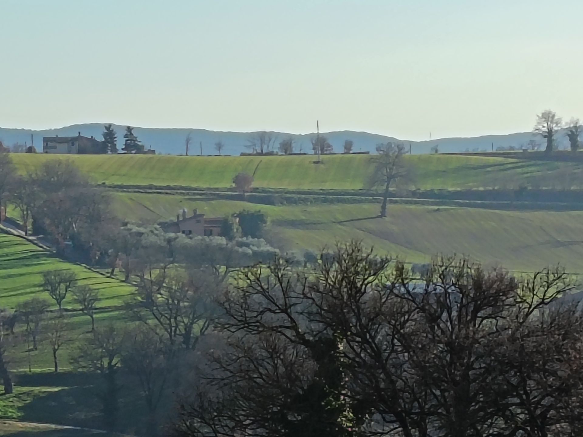 Un paesaggio rurale collinare con campi verdi, alberi sparsi e case in lontananza sotto un cielo velato.
