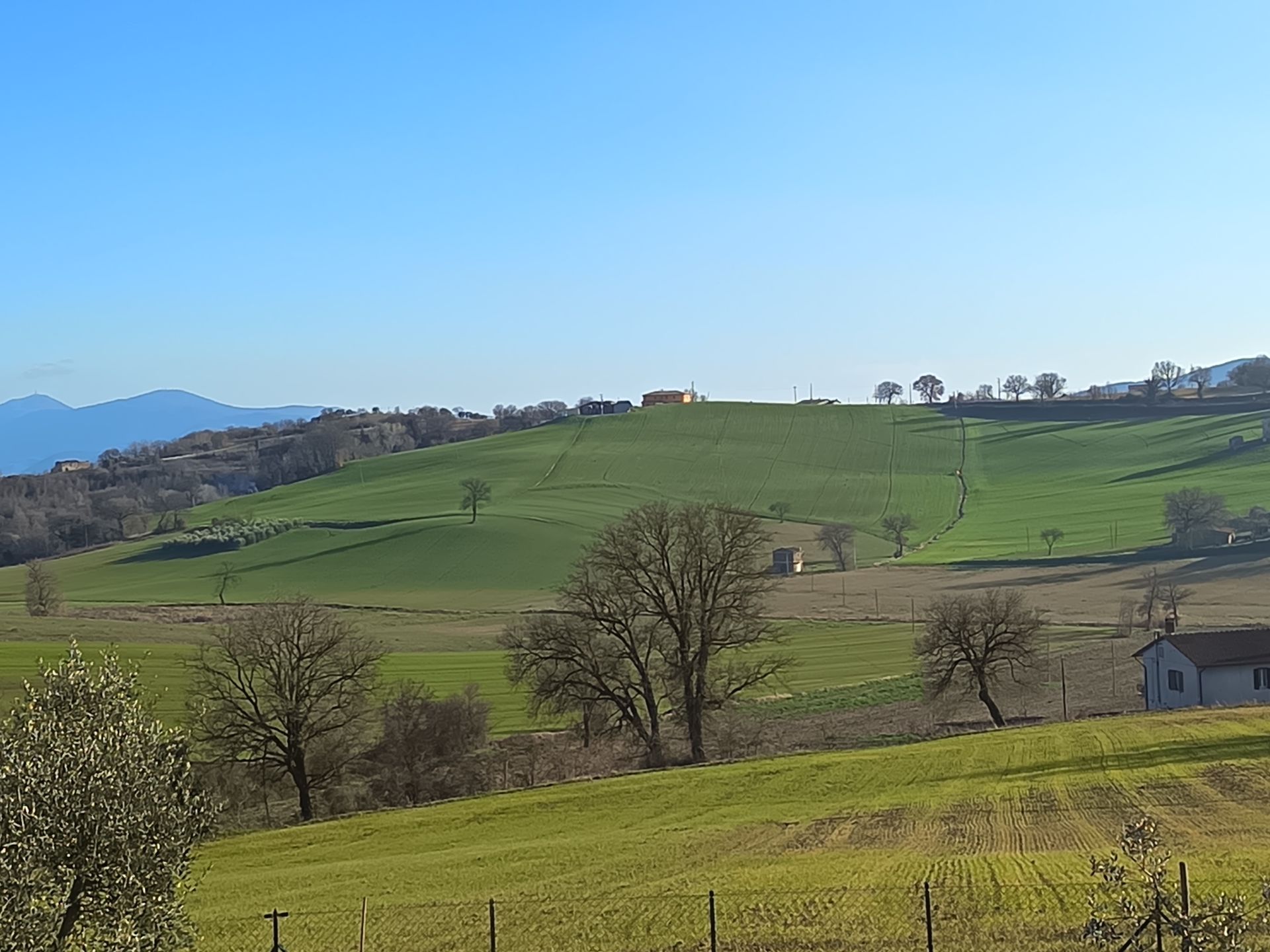 Una vista panoramica di una dolce collina erbosa sotto un cielo azzurro e limpido