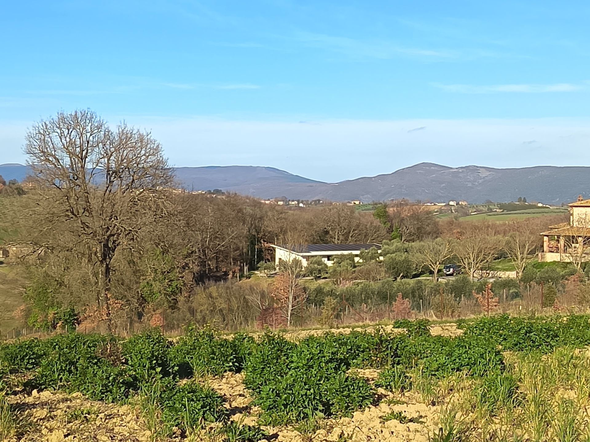 Un paesaggio rurale caratterizzato da campi coltivati in primo piano