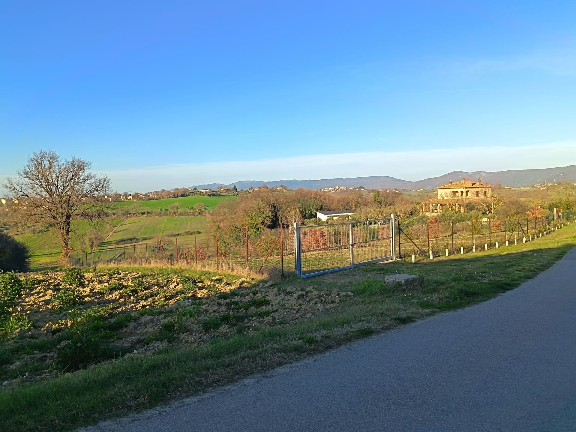 Sotto un cielo azzurro e limpido, una strada costeggia un campo erboso