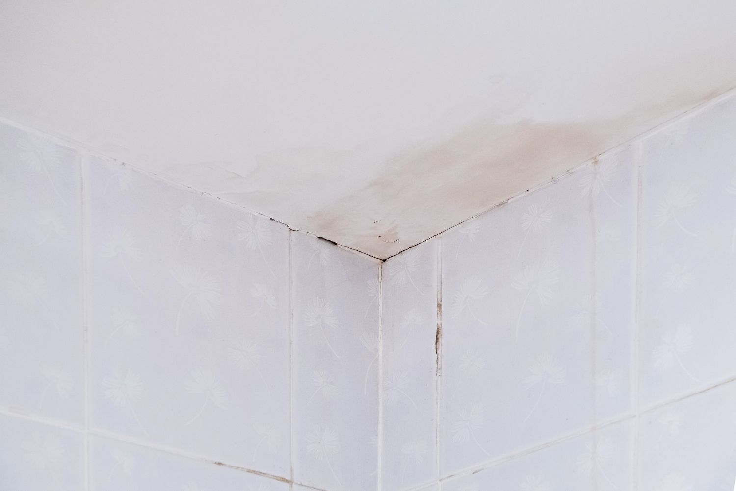 bathroom molds