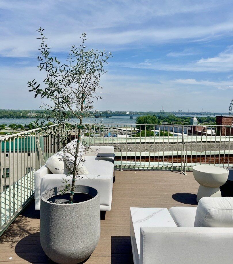 Un patio avec vue sur un plan d'eau et une grande roue