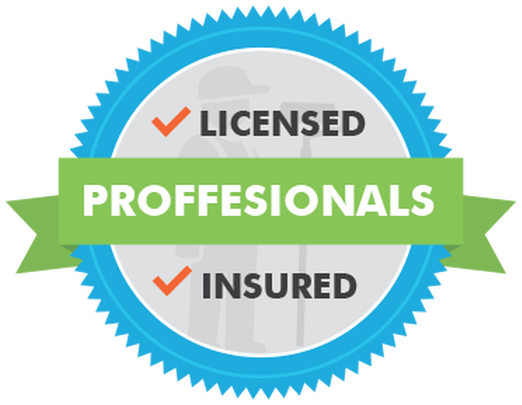 Badge: Blue, white, and green. Reads "Licensed Professionals" with a check mark next to each word, "Insured."