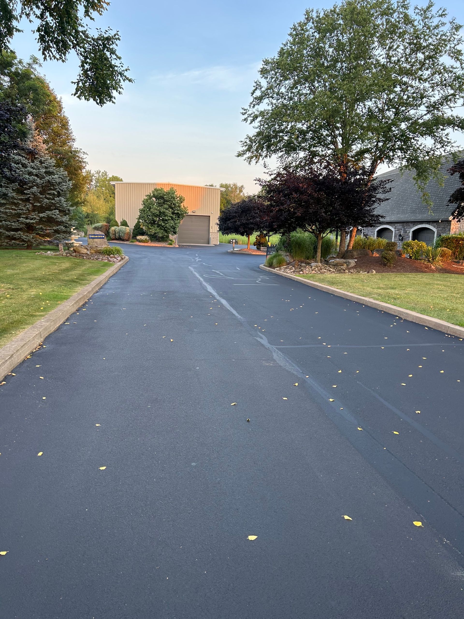 A black asphalt driveway leading to a house with trees on both sides.