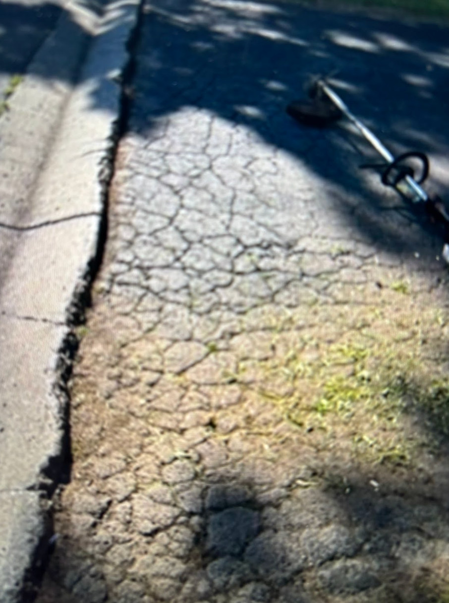 A lawn mower is sitting on a cracked sidewalk
