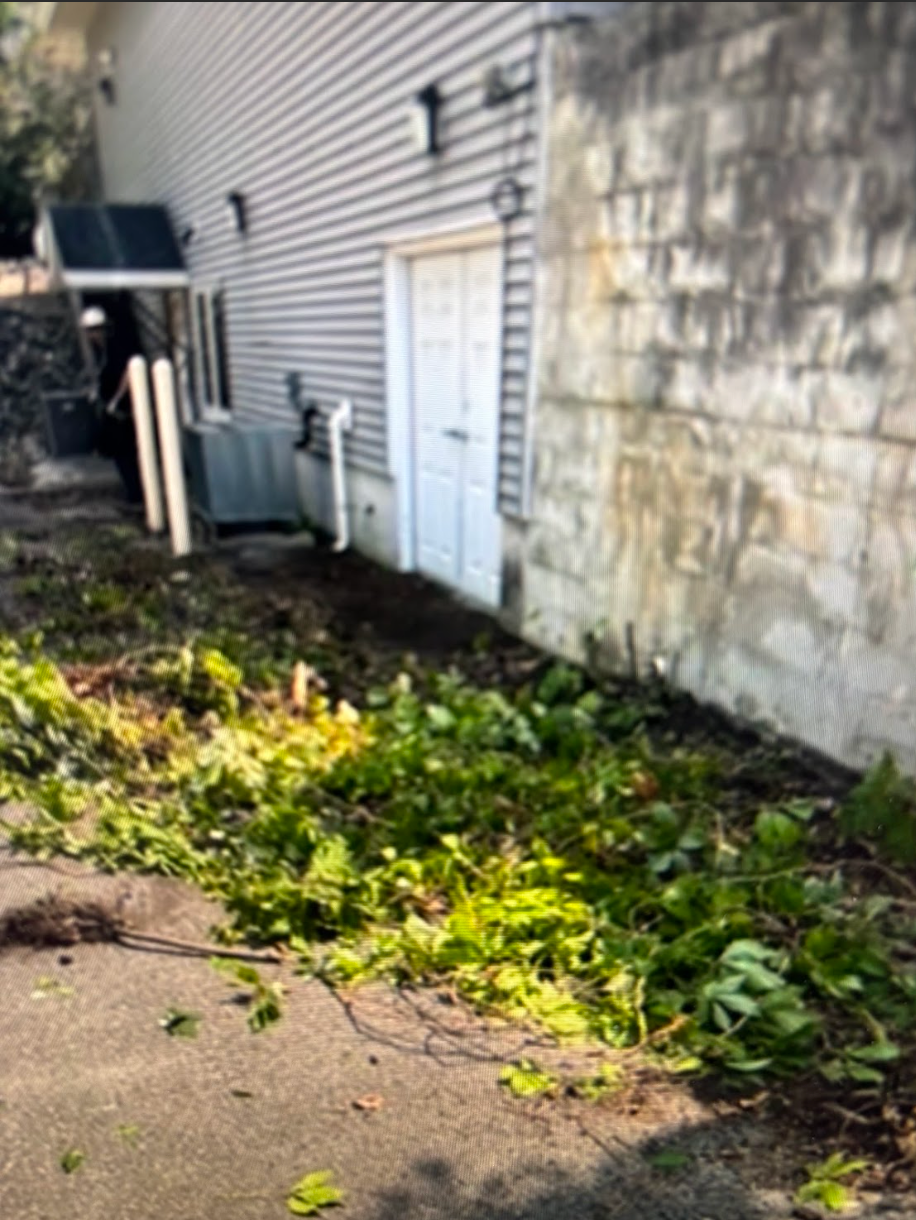 A house with a lot of leaves on the ground in front of it.