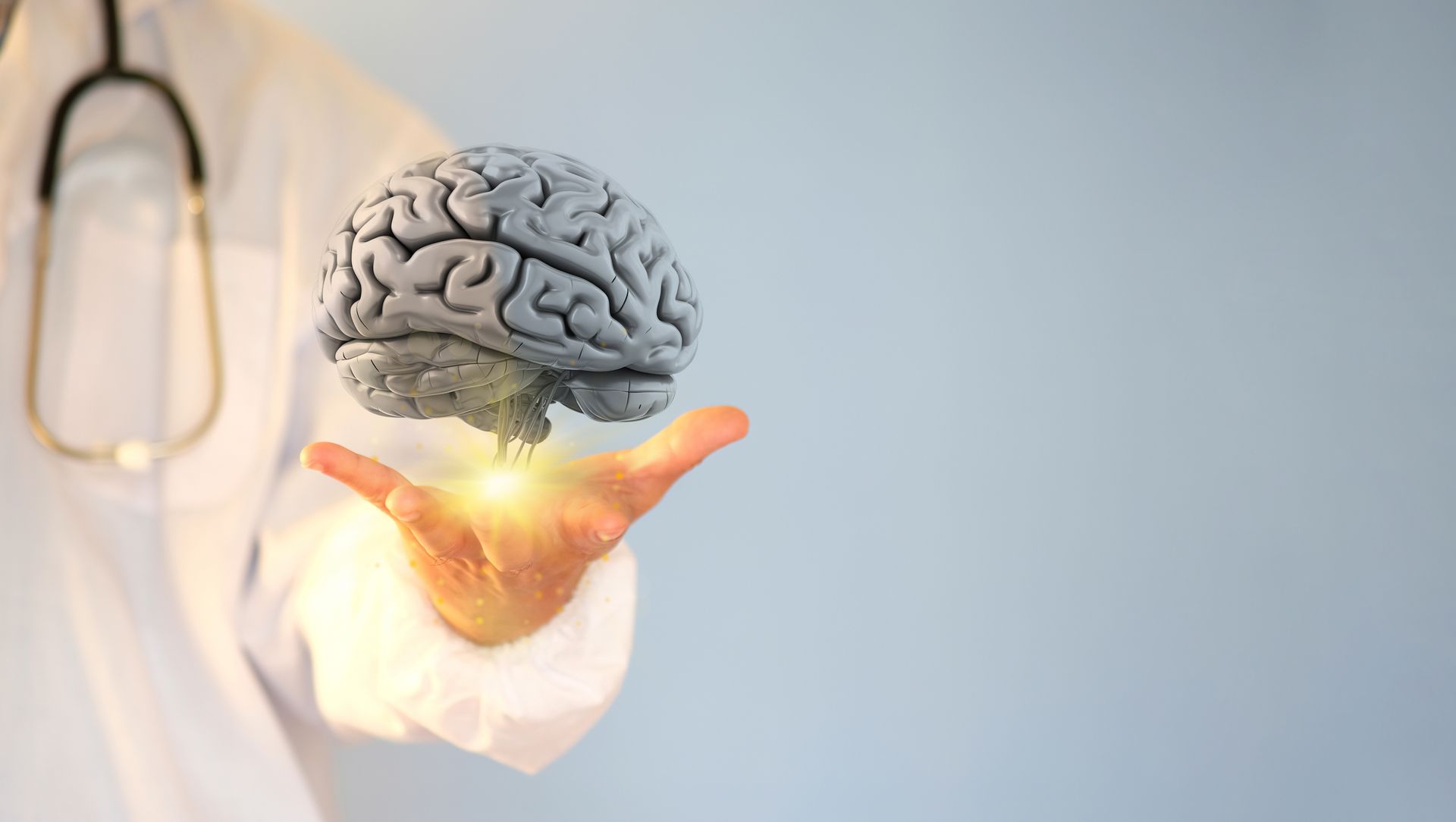 Um médico está segurando um modelo de cérebro na mão.