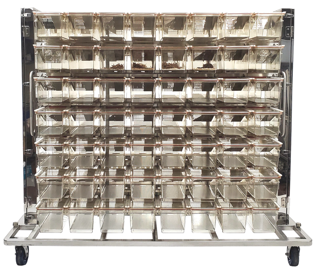 Hygieia Comfort Cages—better for the research mouse, better for your  research dollars