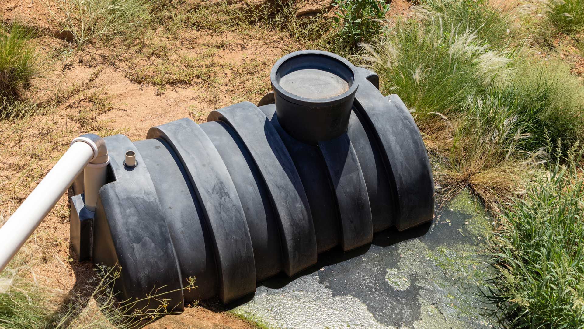 Leaking Septic Tank — Kalispell, MT — Ready Freddy Septic Service