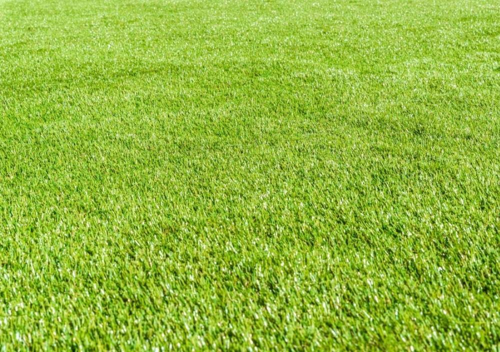 Bespoke Artificial Grass Loughborough view of one of our best artificial grasses in garden