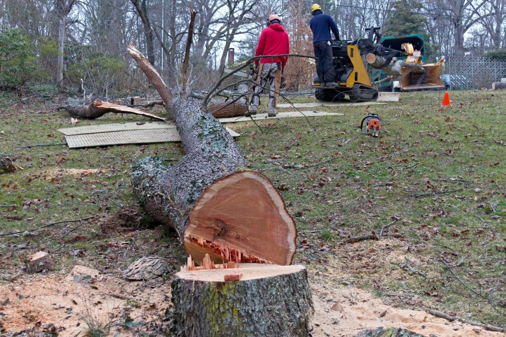 A man is cutting a tree stump with a chainsaw.