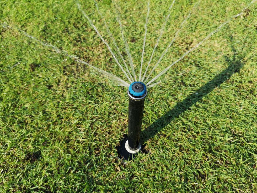 A black lawn sprinkler with a blue top sprays multiple thin streams of water onto green grass in sunlight.