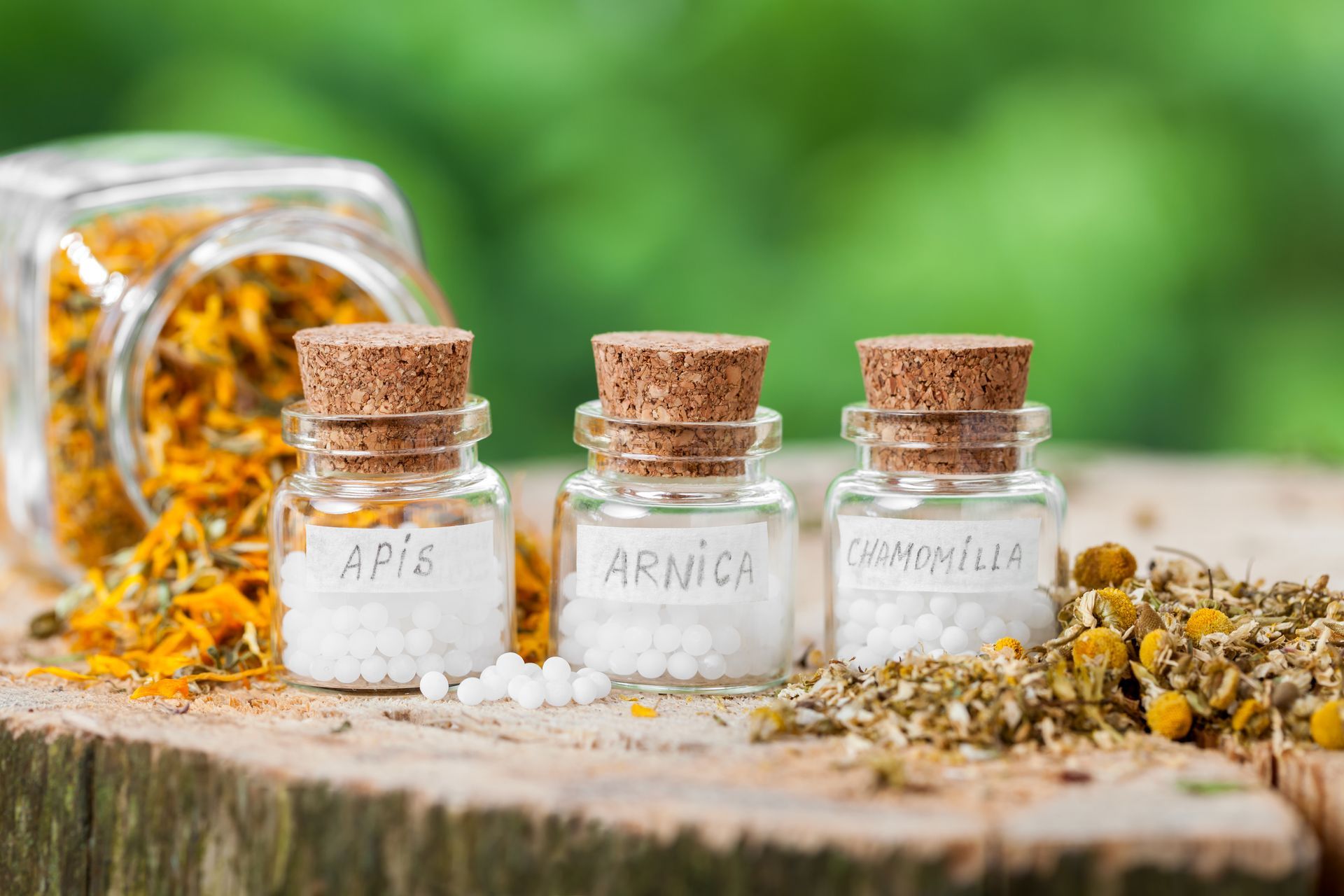Drei homöopathische Medizinflaschen mit der Aufschrift „Apis“, „Arnica“ und „Chamomilla“ mit getrockneten Kräutern auf einer Holzoberfläche.