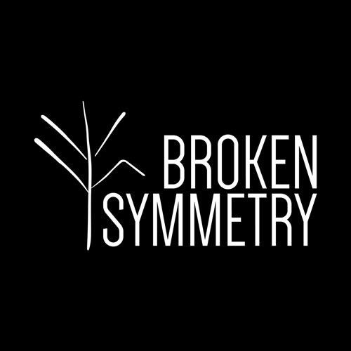 Broken Symmetry