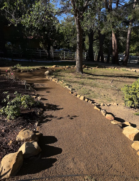 Curved gravel path bordered by rocks in a sunny wooded park