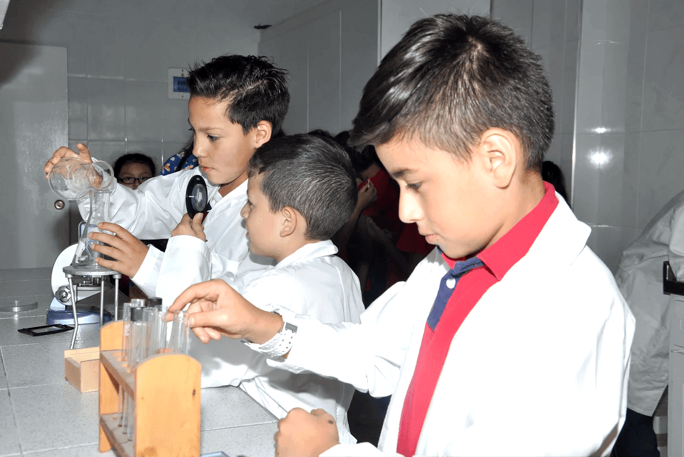 Instituto Albert Schweitzer