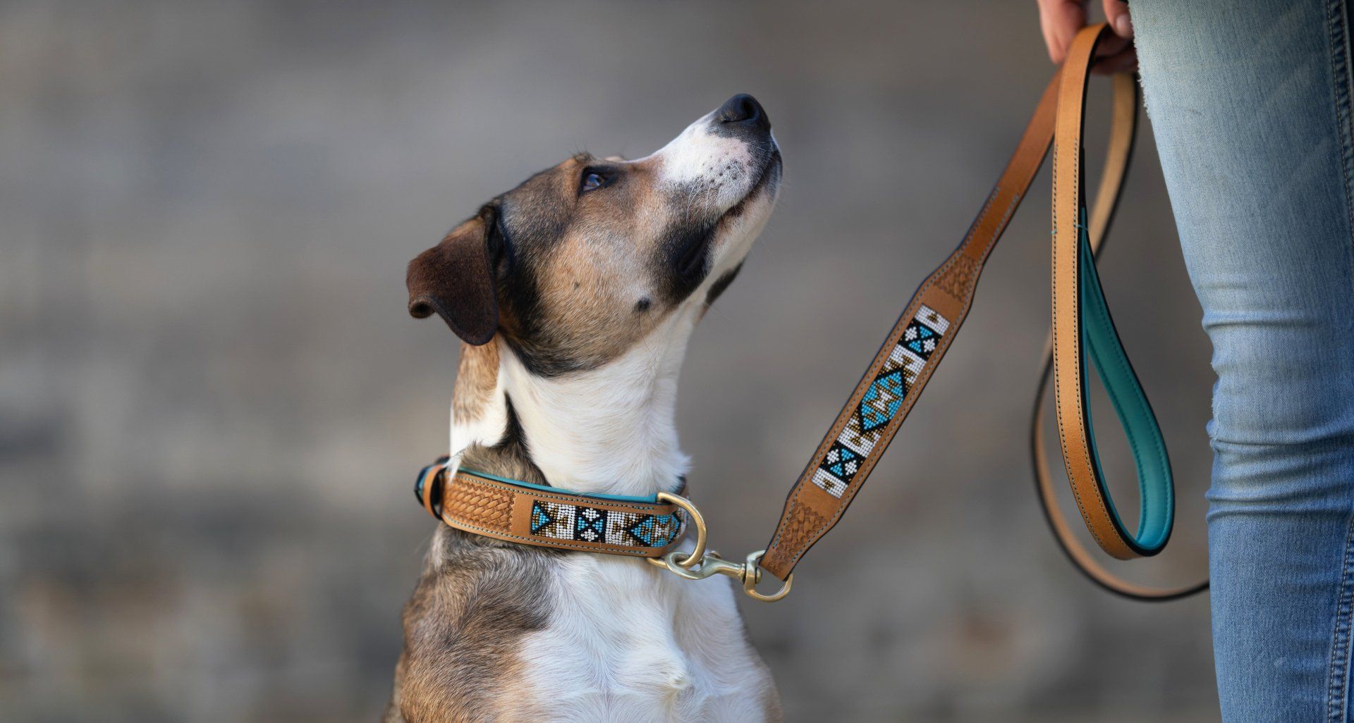 kralen halsband, leren halsband, halsband, Tribe Of Three, native halsband, honden riem, dogwithamission