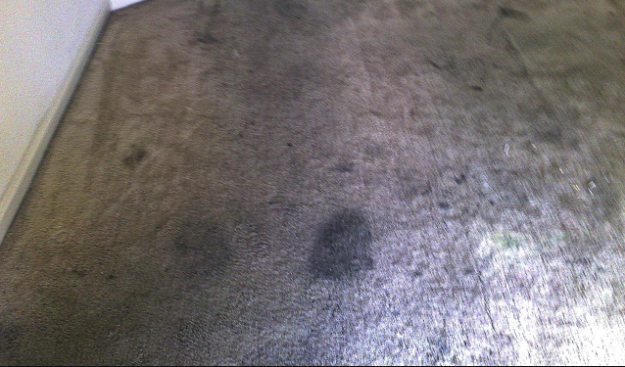 Best Carpet Cleaning Company | Palm Beach Gardens to Pompano