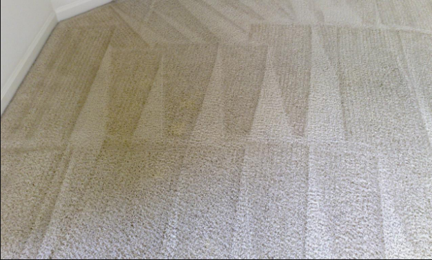 Best Carpet Cleaning Company | Palm Beach Gardens to Pompano