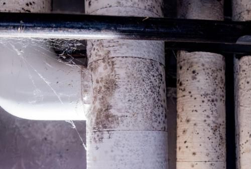 A close up of a pipe with asbestos on it