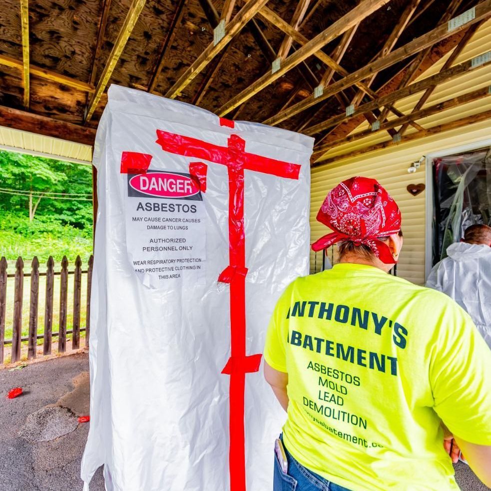 Understanding Asbestos Testing, image size:983x983