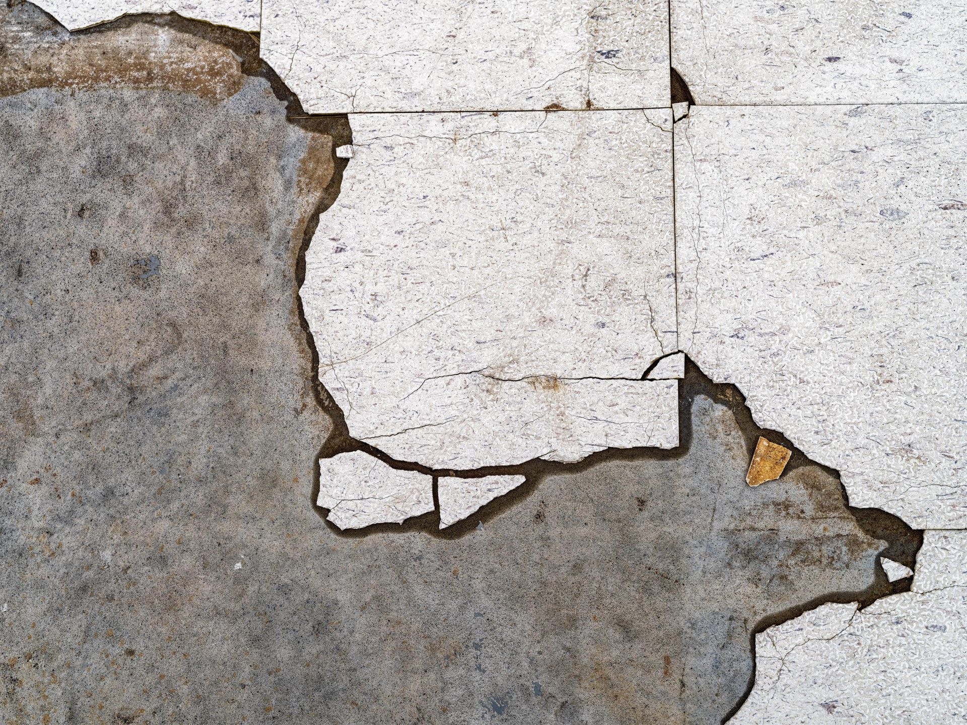 Asbestos Floor Tile Removal In CT Anthony