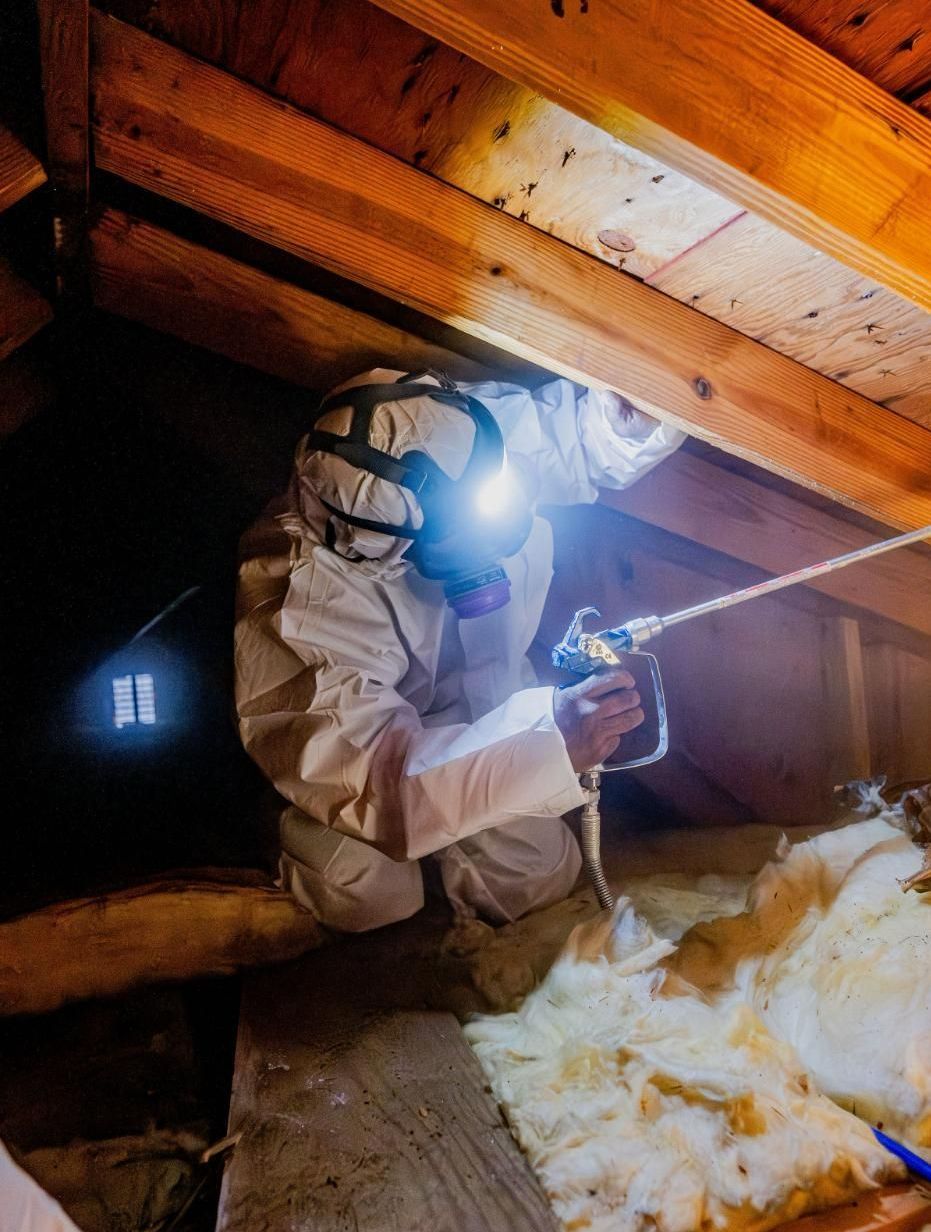 mold removal company in ct