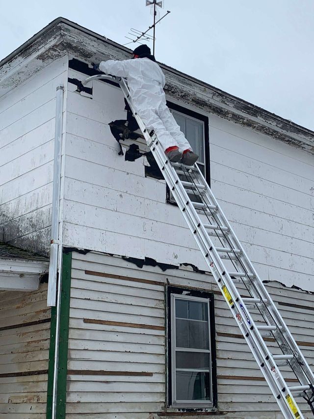 anthonys abatement gallery